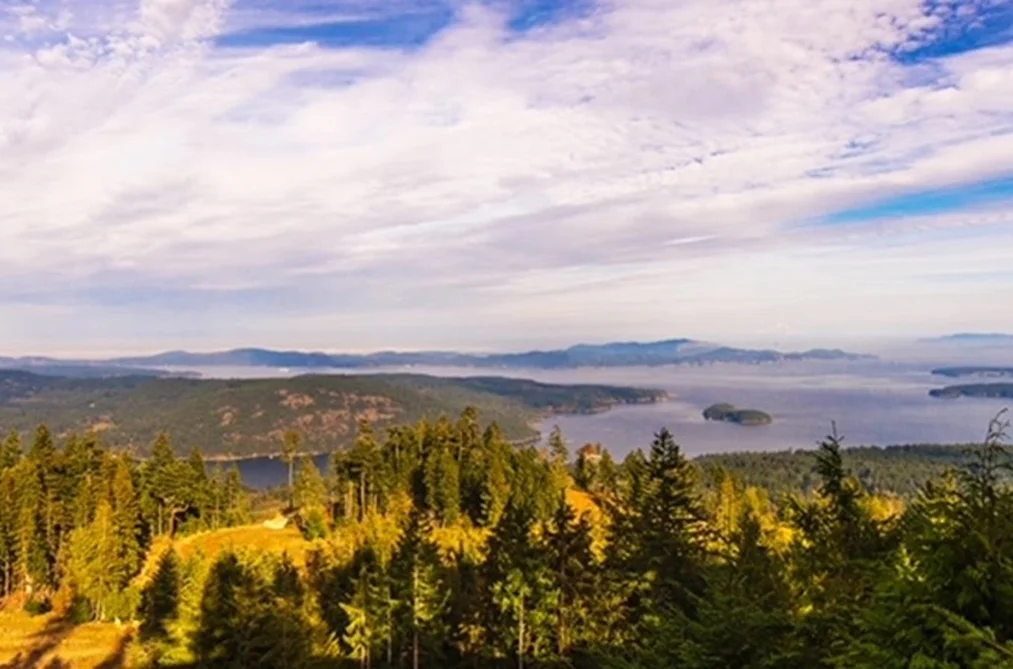150 SKYWATER LANE, Salt Spring Island BC V8K 2W9, Salt Spring Island BC — Land for Sale - Photo 4