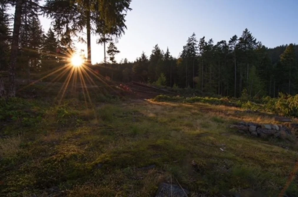 150 SKYWATER LANE, Salt Spring Island BC V8K 2W9, Salt Spring Island BC — Land for Sale - Photo 6