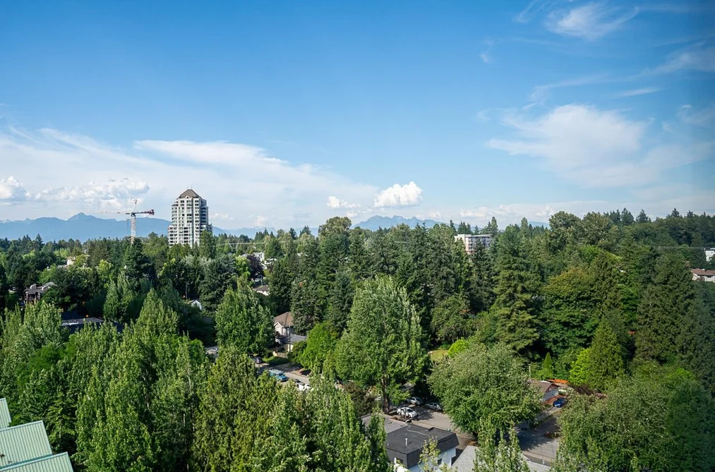 1508 9830 WHALLEY BOULEVARD, Surrey BC V3T 5S7, Surrey BC — Residential for Sale — Photo 13 of 34