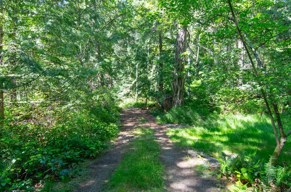 15140 PORLIER PASS ROAD, Galiano Island BC V0N 1P0, Galiano Island BC — Residential for Sale - Photo 5