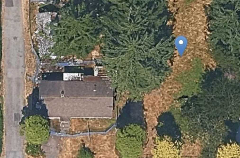 House for sale at 15233 17a Avenue Surrey British Columbia - MLS: R3154275