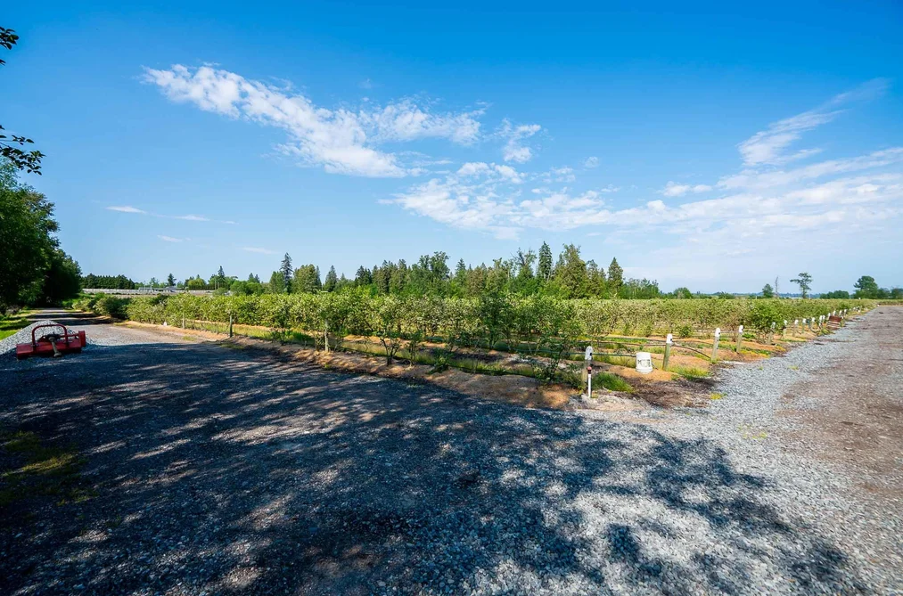 15448 56 AVENUE, Surrey BC V3S 5K7, Surrey BC — Land for Sale — Photo 19 of 22