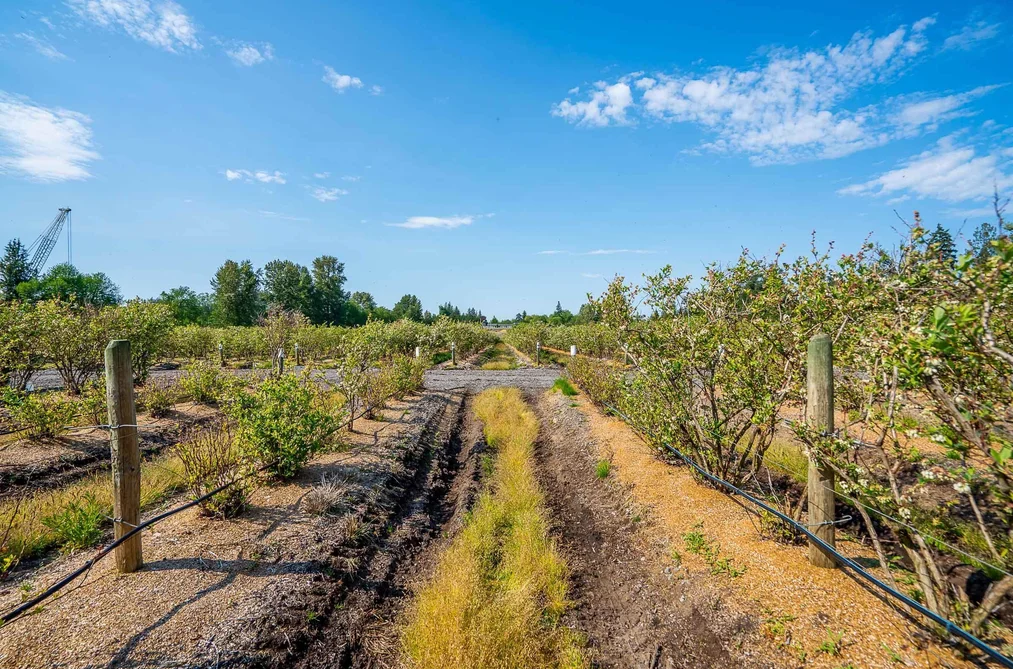 15448 56 AVENUE, Surrey BC V3S 5K7, Surrey BC — Land for Sale — Photo 20 of 22