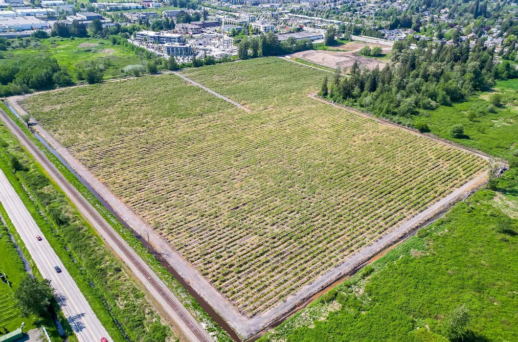 15448 56 AVENUE, Surrey BC V3S 5K7, Surrey BC — Land for Sale — Photo 4 of 22