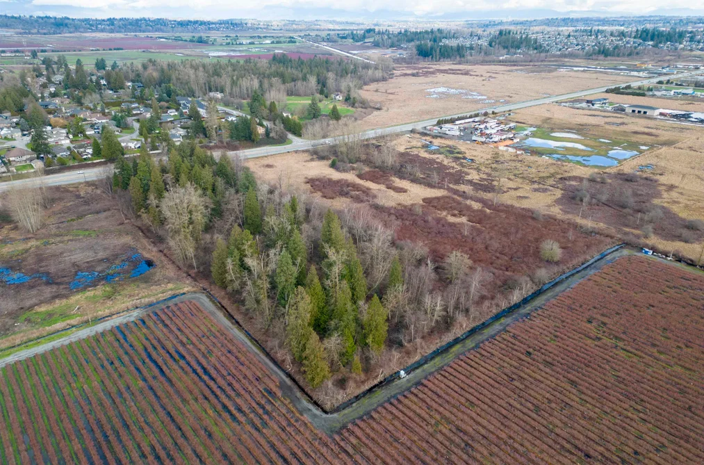 15590 56 AVENUE, Surrey BC V3S 5K7, Surrey BC — Land for Sale — Photo 5 of 9