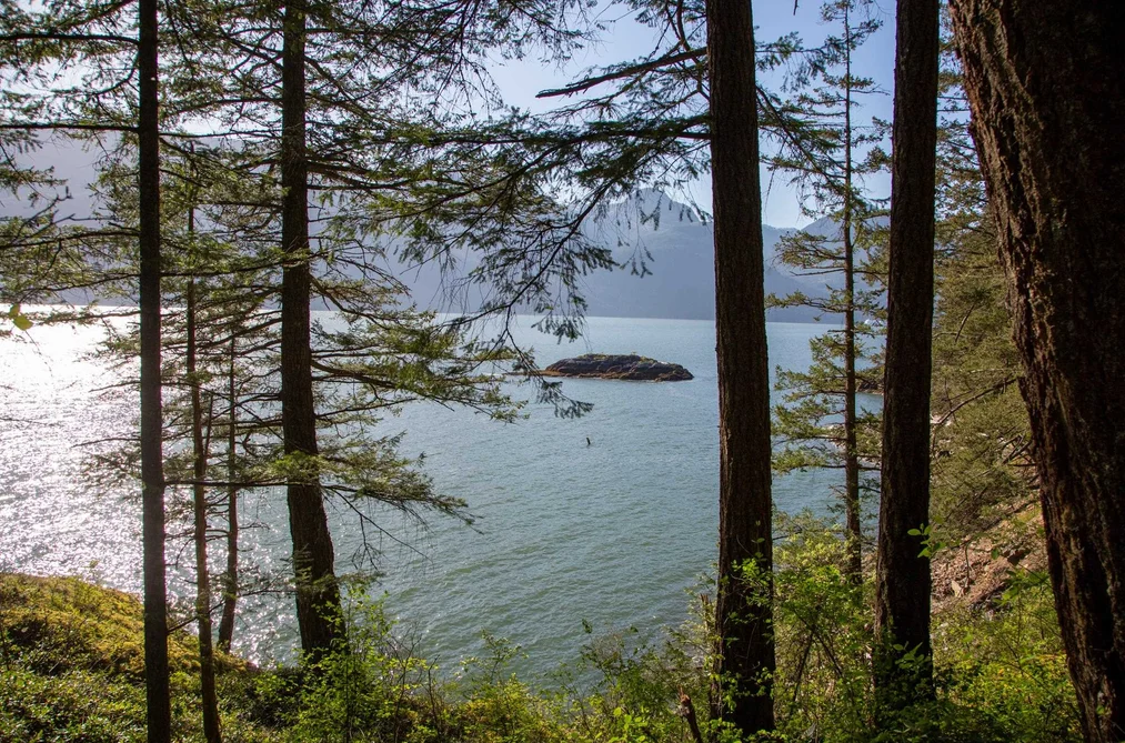 156 SHAUGHNESSY HEIGHTS, Britannia Beach BC V8B 1J2, Britannia Beach BC — Land for Sale - Photo 5