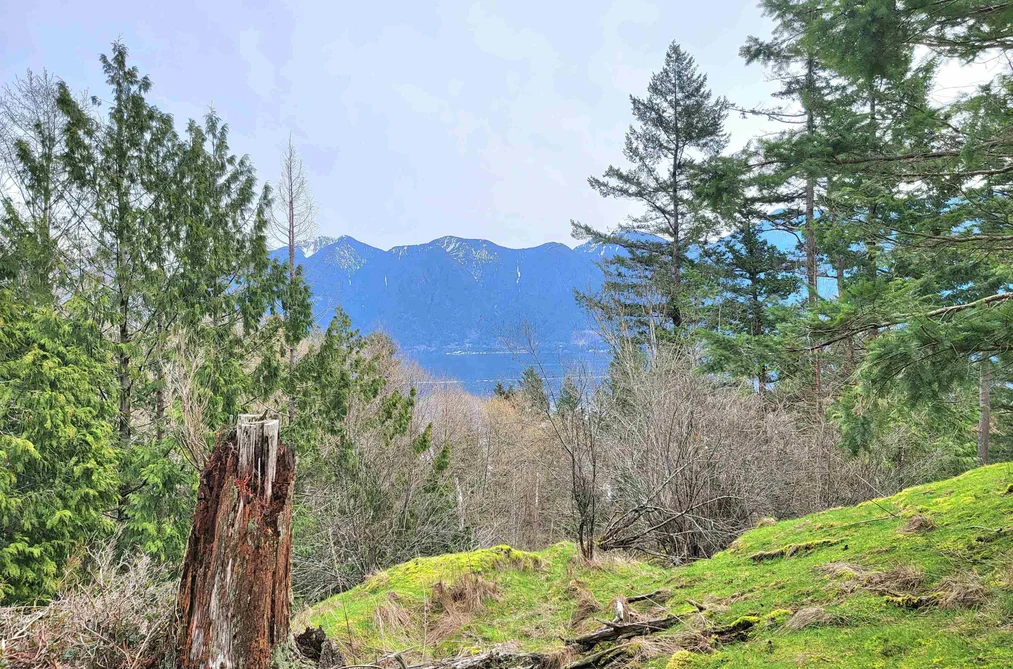 Property for sale at 1562 Eaglecliff Road Bowen Island British Columbia - MLS: R2859709