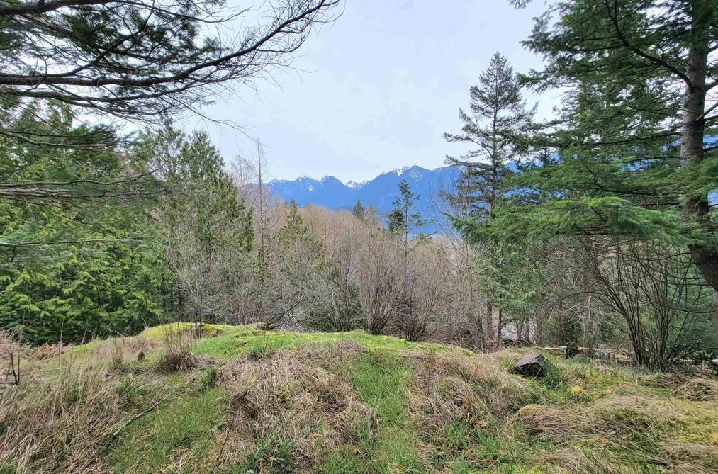 1562 EAGLECLIFF ROAD, Bowen Island BC V0N 1G1, Bowen Island BC — Land for Sale - Photo 2