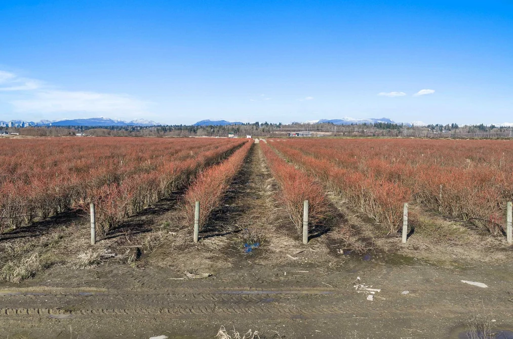 15683 64 AVENUE, Surrey BC V3S 2A2, Surrey BC — Land for Sale - Photo 3