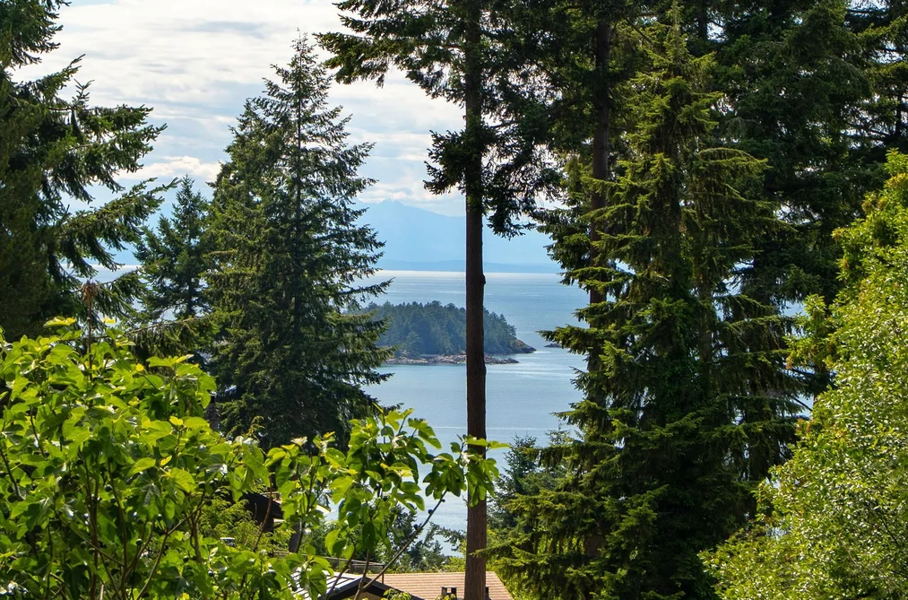 1569 WHITESAILS DRIVE, Bowen Island BC V0N 1G2, Bowen Island BC — Residential for Sale — Photo 11 of 40