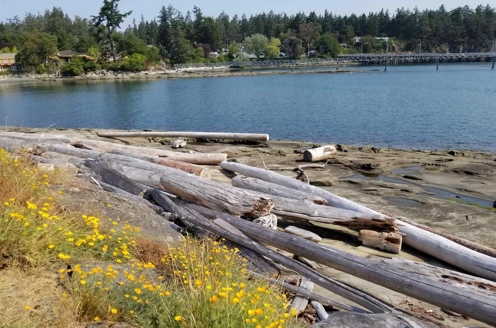 157 JACK ROAD, Galiano Island BC V0N 1P0, Galiano Island BC — Residential for Sale - Photo 4