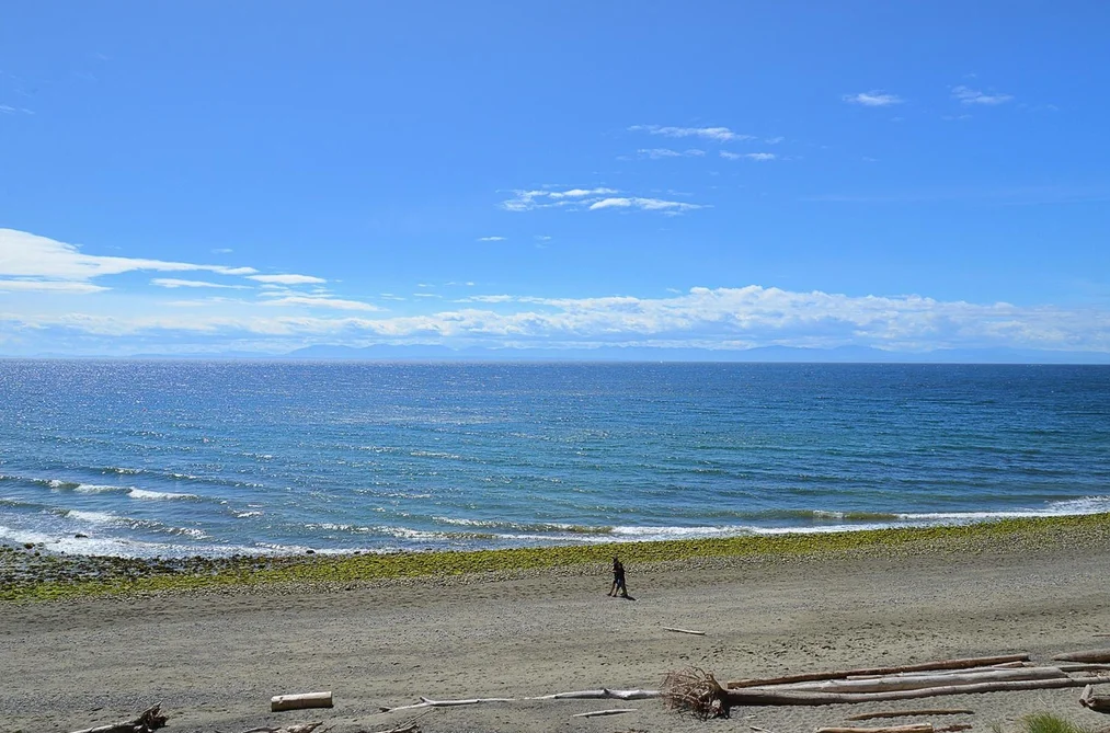 1590 OCEAN BEACH ESPLANADE, Gibsons BC V0N 1V5, Gibsons BC — Residential for Sale - Photo 3
