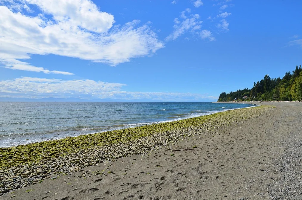 1590 OCEAN BEACH ESPLANADE, Gibsons BC V0N 1V5, Gibsons BC — Residential for Sale - Photo 4