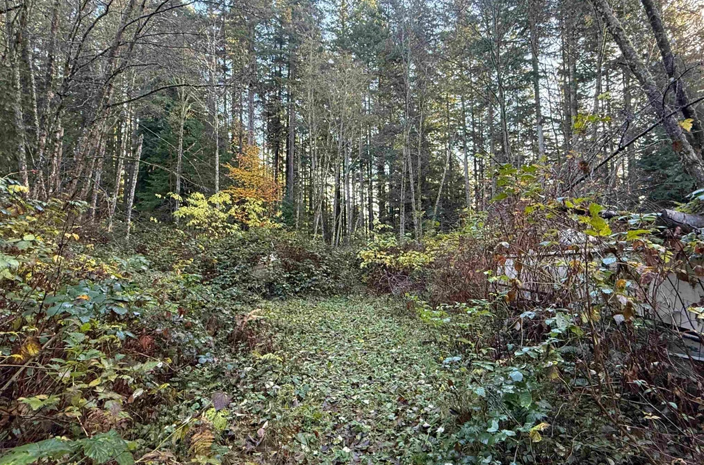 Property for sale at 1594 Cemetery Road Gibsons British Columbia - MLS: R3109859