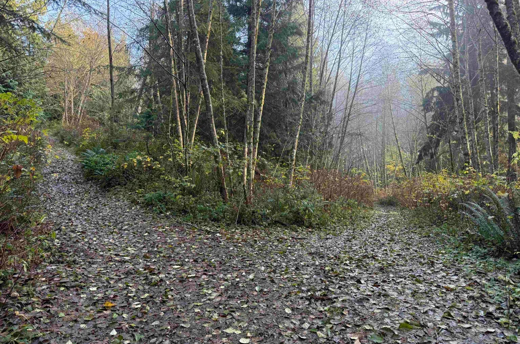 1594 CEMETERY ROAD, Gibsons BC V0N 1V1, Gibsons BC — Land for Sale - Photo 3