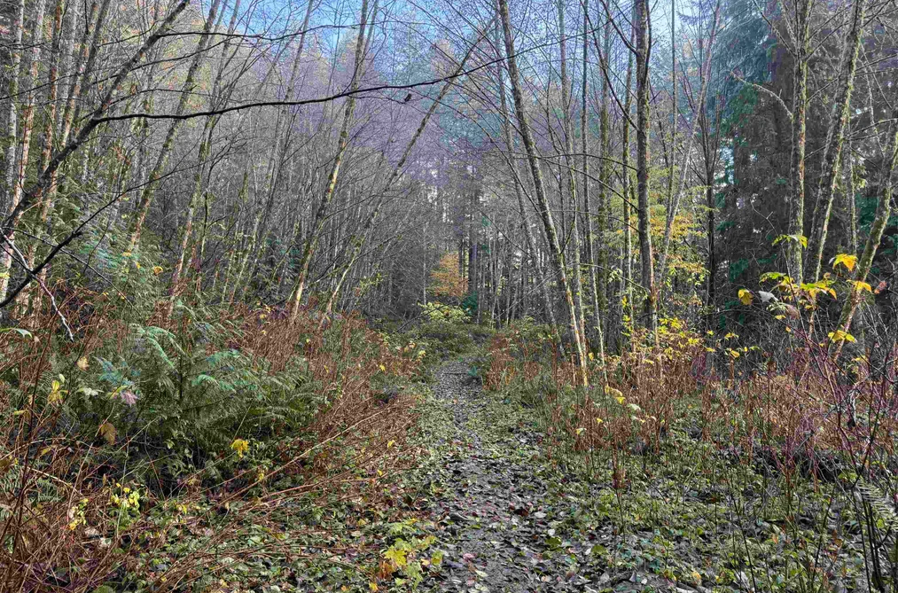 1594 CEMETERY ROAD, Gibsons BC V0N 1V1, Gibsons BC — Land for Sale - Photo 7