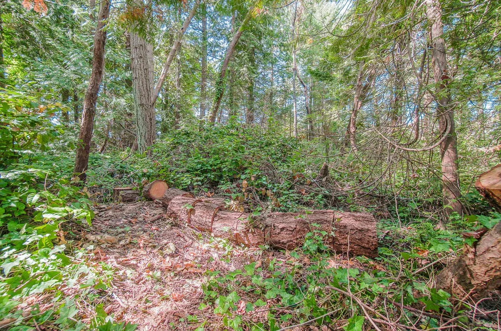 16 PASSAGE ISLAND, West Vancouver BC V7W 1V7, West Vancouver BC — Land for Sale - Photo 5