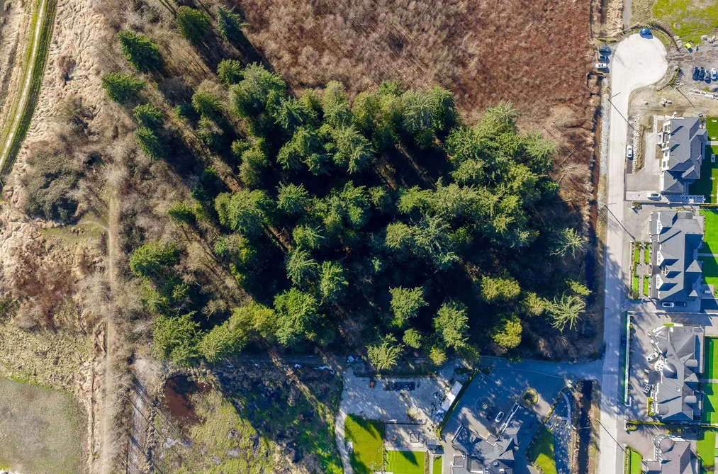 16087 59 AVENUE, Surrey BC V3S 7A5, Surrey BC — Land for Sale - Photo 7