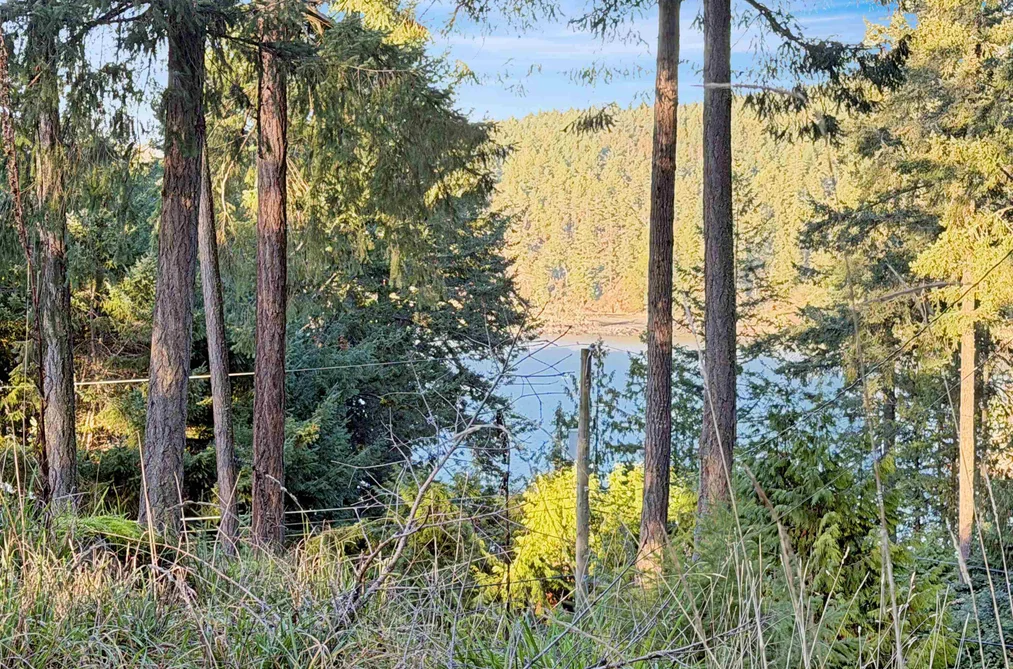 1609 SCHOONER WAY, Pender Island BC V0N 2M2, Pender Island BC — Land for Sale - Photo 3