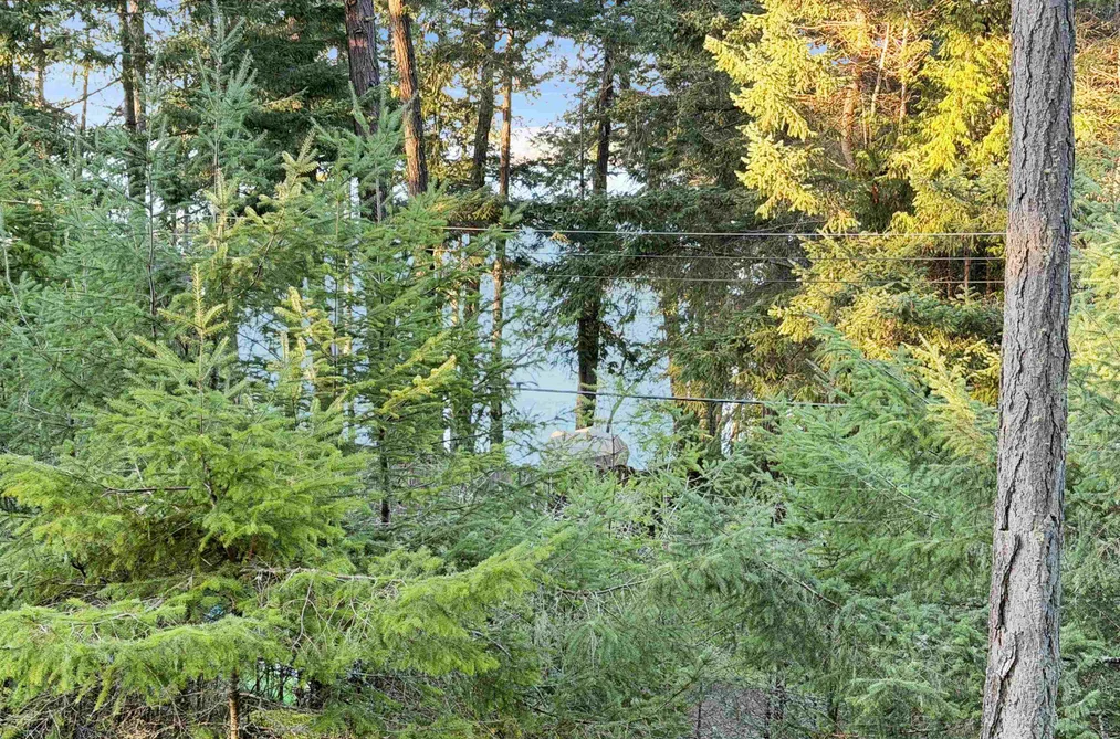 1609 SCHOONER WAY, Pender Island BC V0N 2M2, Pender Island BC — Land for Sale - Photo 4