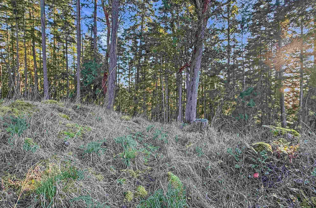 1609 SCHOONER WAY, Pender Island BC V0N 2M2, Pender Island BC — Land for Sale - Photo 6
