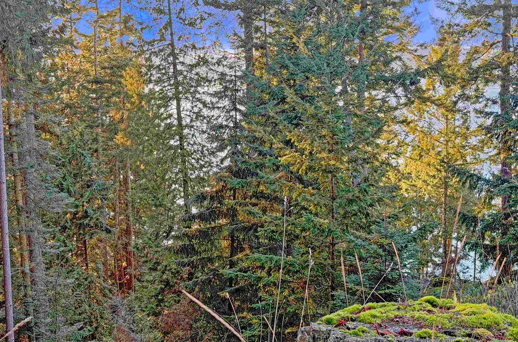 1609 SCHOONER WAY, Pender Island BC V0N 2M2, Pender Island BC — Land for Sale - Photo 7