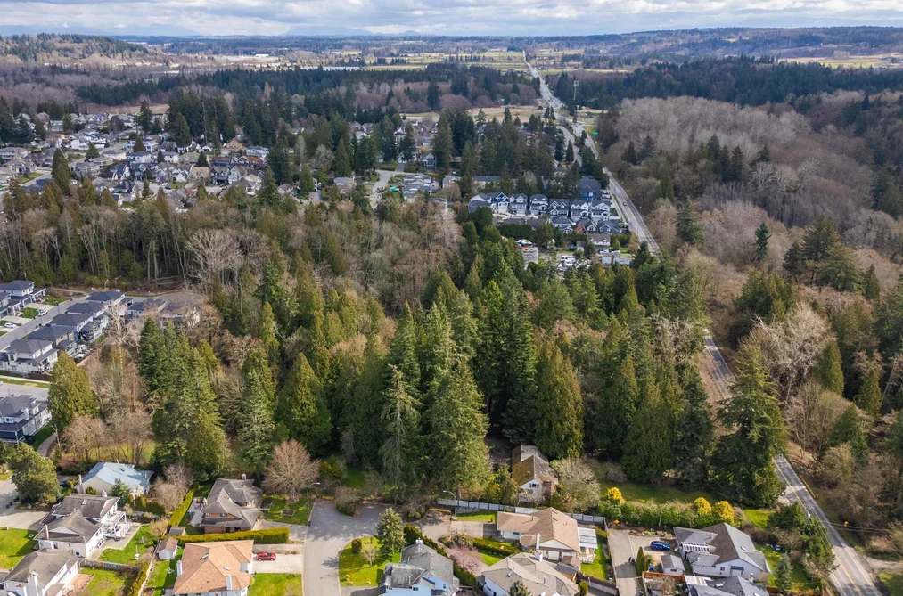16203 8 AVENUE, Surrey BC V4A 1A3, Surrey BC — Residential for Sale - Photo 3