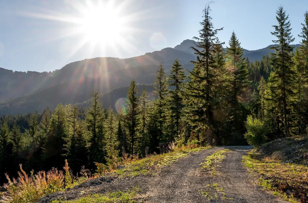 1625 SOUTHLANDS LANE, Whistler BC V8E 0A2, Whistler BC — Land for Sale - Photo 3