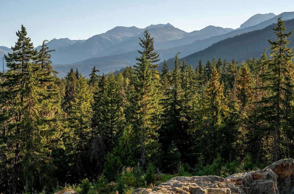 1625 SOUTHLANDS LANE, Whistler BC V8E 0A2, Whistler BC — Land for Sale - Photo 4