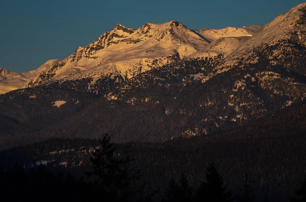 1625 SOUTHLANDS LANE, Whistler BC V8E 0A2, Whistler BC — Land for Sale - Photo 6