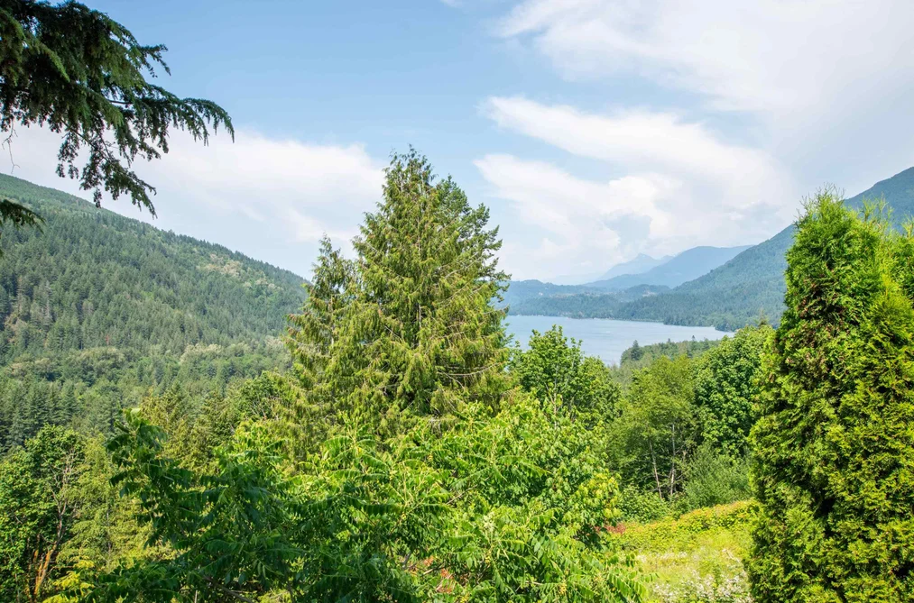 Property for sale at 164 1436 Frost Road Chilliwack British Columbia - MLS: R3099963