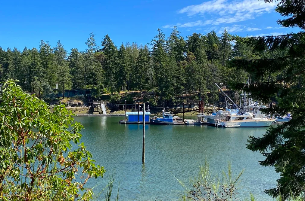 1645 STURDIES BAY ROAD, Galiano Island BC V0N 1P0, Galiano Island BC — Land for Sale - Photo 6