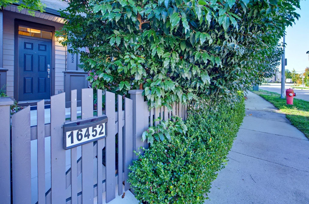 16452 24a Ave, Surrey, BC - MLS: R3177622