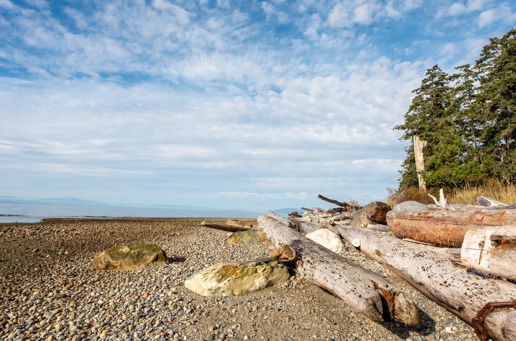 1646 Grandview Road, Gibsons, BC - MLS: R3164590 - Photo 38