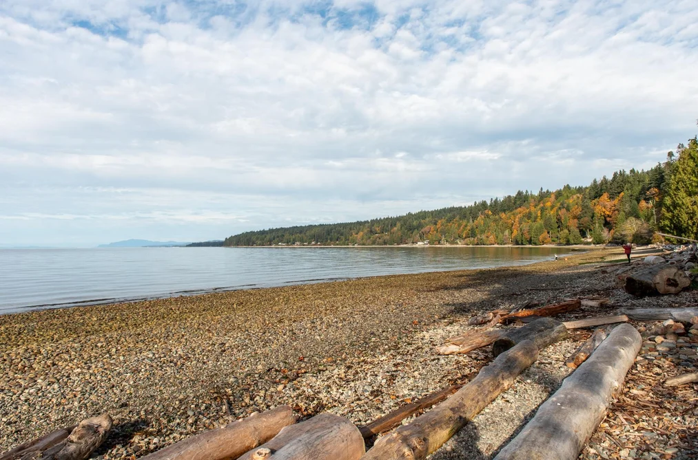 1646 Grandview Road, Gibsons, BC - MLS: R3164590 - Photo 39
