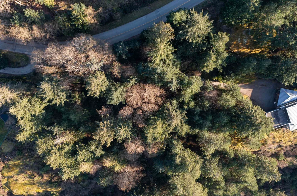 1664 WHITESAILS DRIVE, Bowen Island BC V0N 1G2, Bowen Island BC — Land for Sale - Photo 3