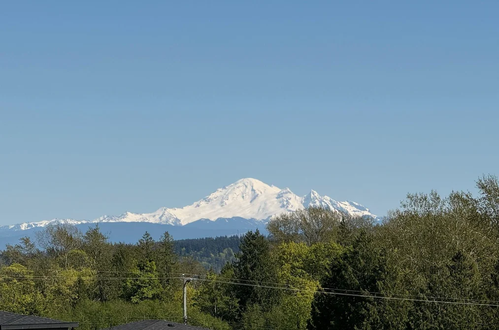 Half Duplex for sale at 16730 16 Avenue Surrey British Columbia - MLS: R3114456