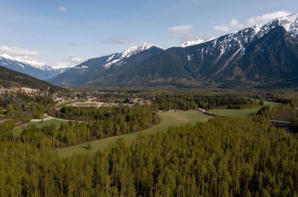 1691 HIGHWAY 99, Pemberton BC V0N 2L0, Pemberton BC — Residential for Sale - Photo 3