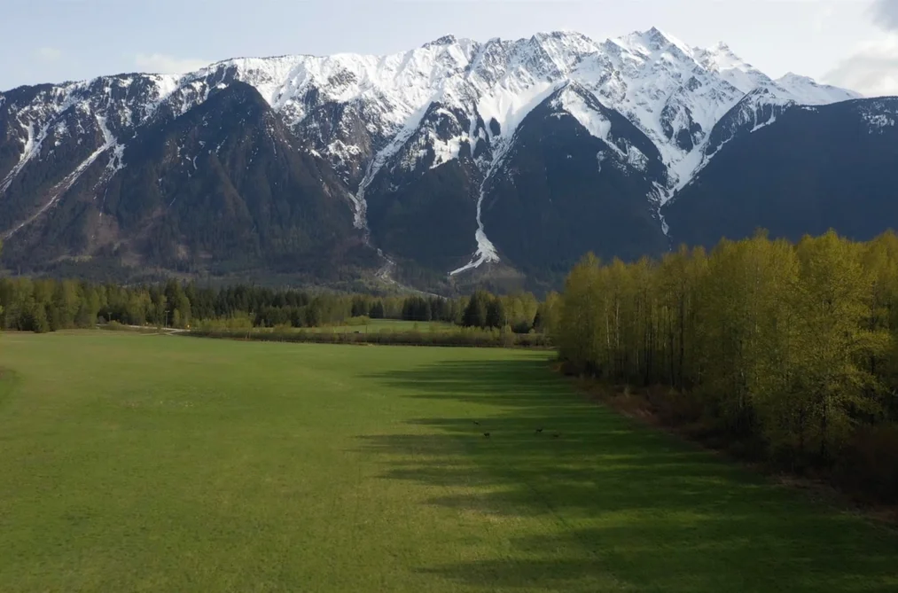 1692 HIGHWAY 99, Pemberton BC V0N 2L0, Pemberton BC — Land for Sale - Photo 4