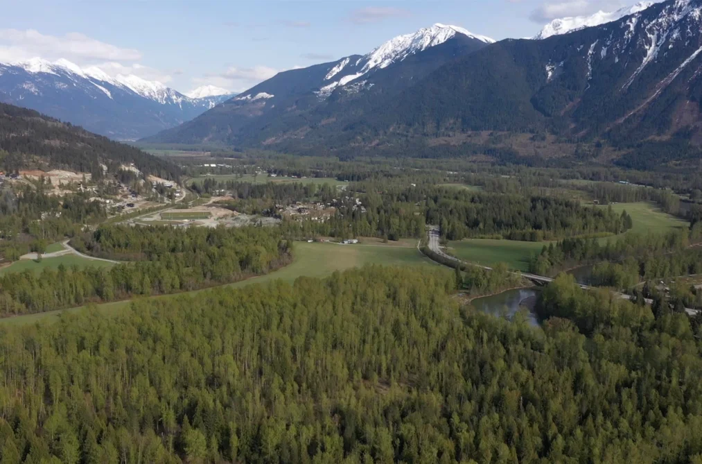 1692 HIGHWAY 99, Pemberton BC V0N 2L0, Pemberton BC — Land for Sale - Photo 6