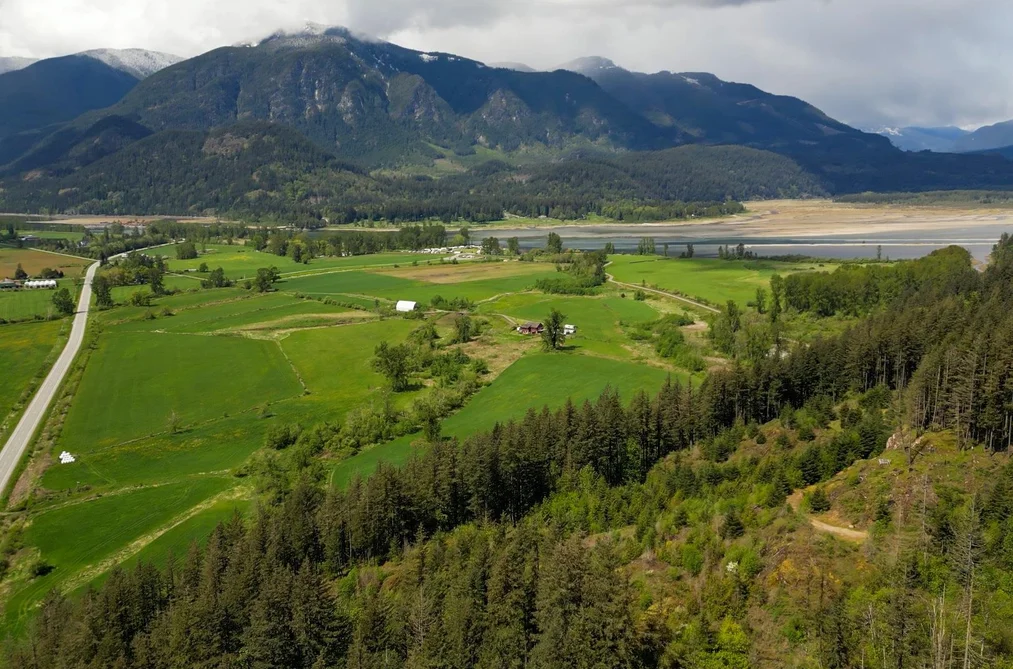 1724 LOUGHEED HIGHWAY, Mt Woodside BC V0M 1A1, Mt Woodside BC — Land for Sale - Photo 3