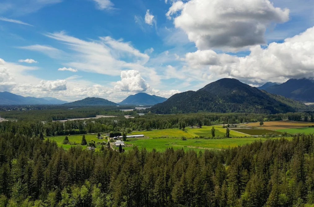 1724 LOUGHEED HIGHWAY, Mt Woodside BC V0M 1A1, Mt Woodside BC — Land for Sale - Photo 4