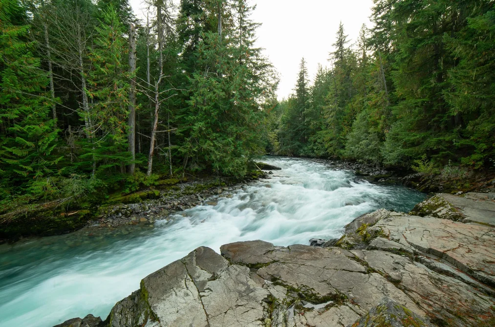 Property for sale at Lot 10 1726 River Run Place Whistler British Columbia - MLS: R3118703