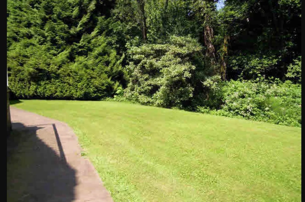 17293 4 AVENUE, Surrey BC V3S 9P7, Surrey BC — Residential for Sale - Photo 2