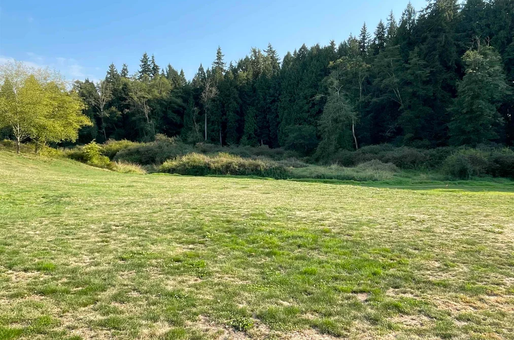 Property for sale at 17384 8 Avenue Surrey British Columbia - MLS: R3047383