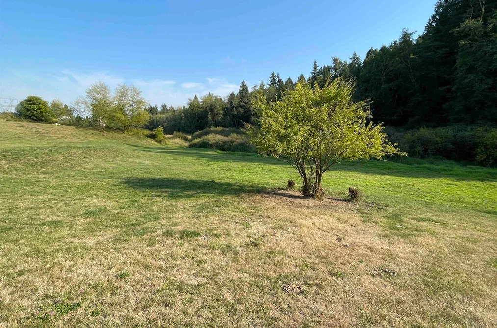 17384 8 AVENUE, Surrey BC V3S 9R5, Surrey BC — Land for Sale - Photo 5