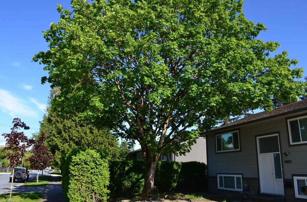 17486 61A AVENUE, Surrey BC V3S 5K2, Surrey BC — Residential for Sale — Photo 15 of 21