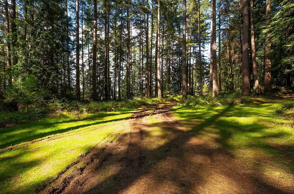 1750 BILLINGTON ROAD, Bowen Island BC V0N 1G2, Bowen Island BC — Land for Sale - Photo 4