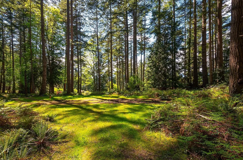 1750 BILLINGTON ROAD, Bowen Island BC V0N 1G2, Bowen Island BC — Land for Sale - Photo 5