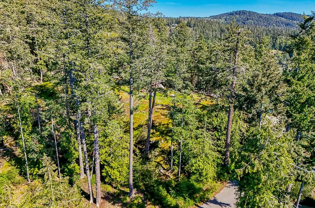 1795 EMILY LANE, Bowen Island BC V0N 1G2, Bowen Island BC — Land for Sale - Photo 6